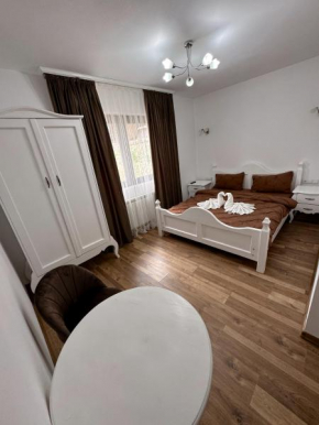 Casa Croitoru Maramureş